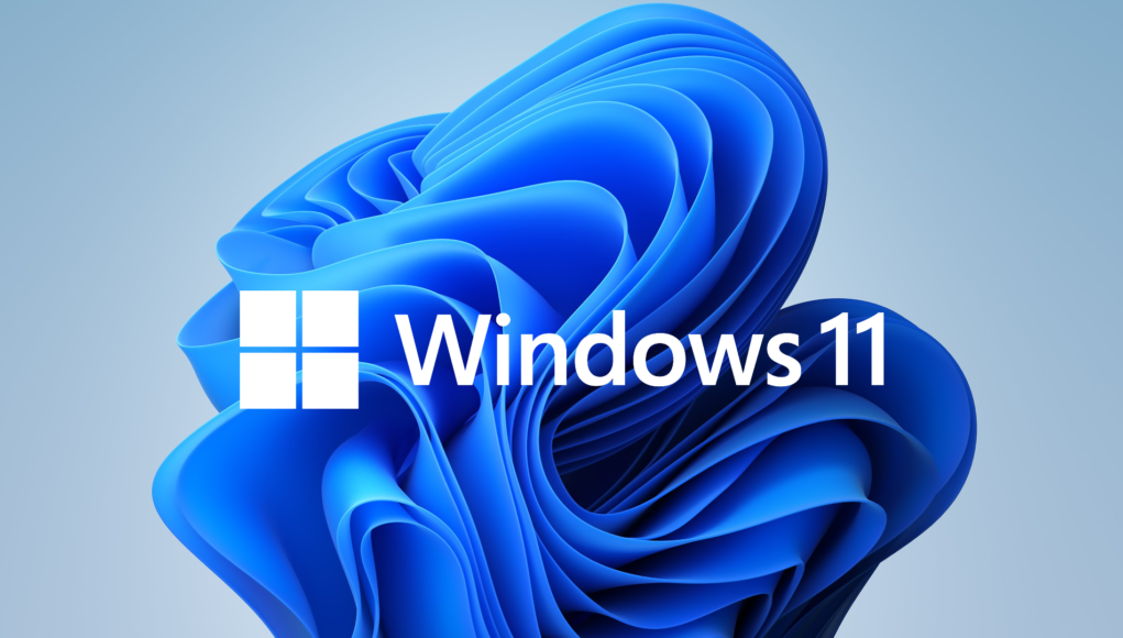 Windows 11